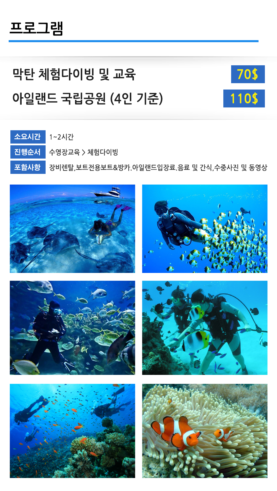 세부 맨투맨 스쿠버_내용